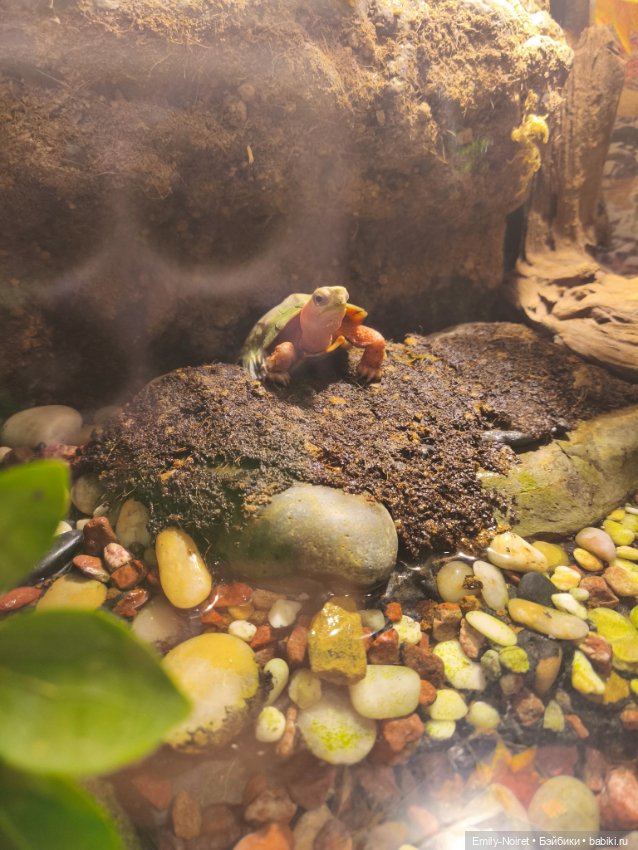 Шанхайский полдень: Океанариум (фото 9)