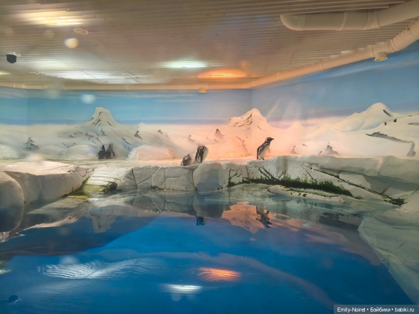 Шанхайский полдень: Океанариум