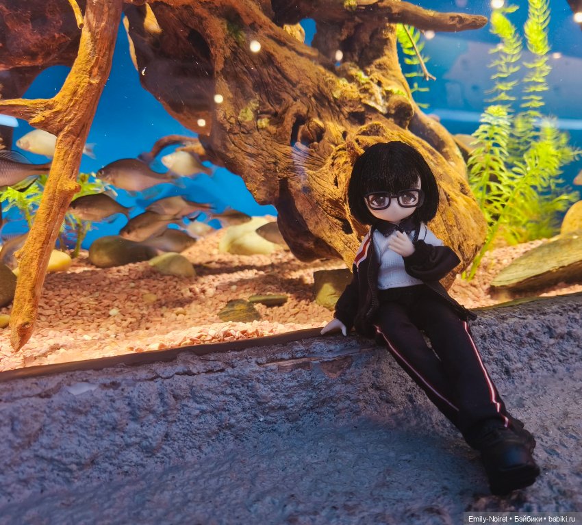 Шанхайский полдень: Океанариум (фото 5)