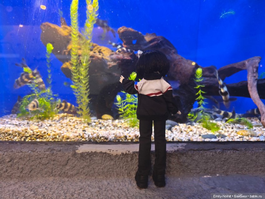 Шанхайский полдень: Океанариум (фото 4)