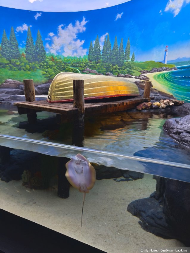 Шанхайский полдень: Океанариум