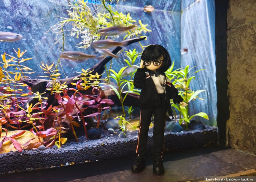 Шанхайский полдень: Океанариум (фото 2)