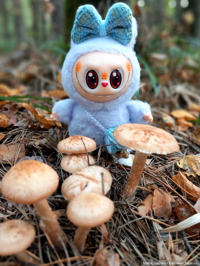 Дела осенние — Куклы Ruby Red (Руби Ред) Fashion Friends: Siblies