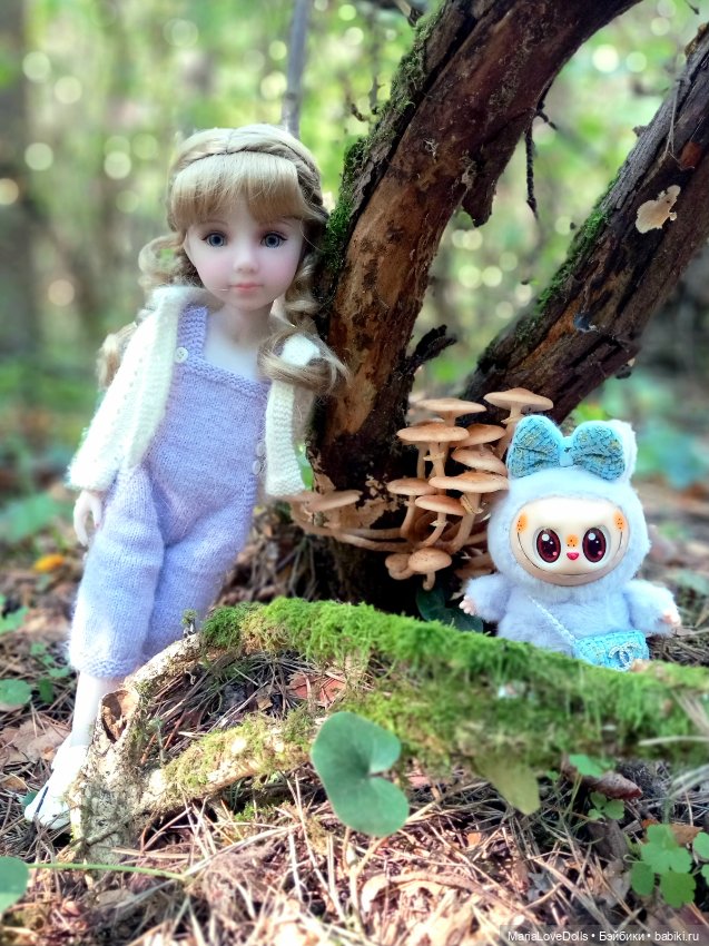 Дела осенние — Куклы Ruby Red (Руби Ред) Fashion Friends: Siblies