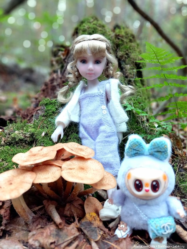 Дела осенние — Куклы Ruby Red (Руби Ред) Fashion Friends: Siblies (фото 5)