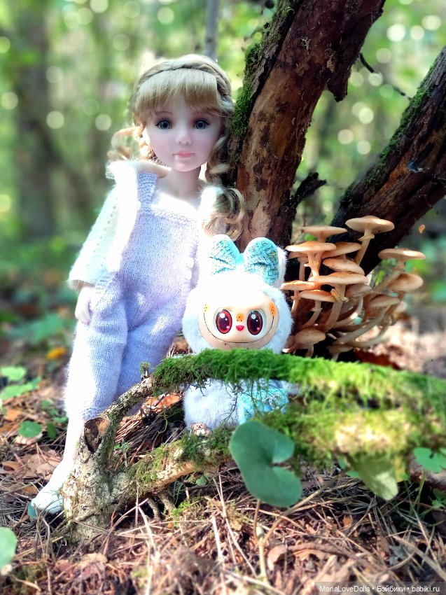 Дела осенние — Куклы Ruby Red (Руби Ред) Fashion Friends: Siblies