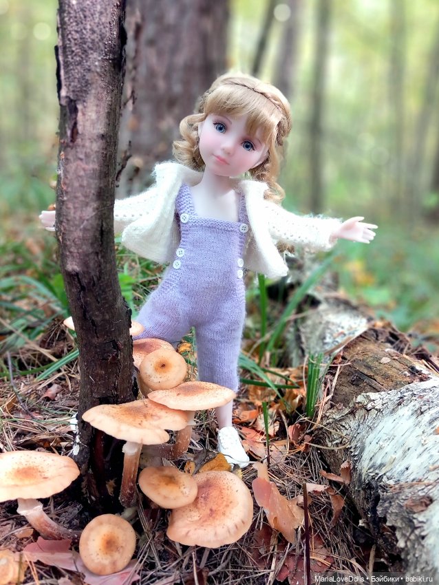 Дела осенние — Куклы Ruby Red (Руби Ред) Fashion Friends: Siblies