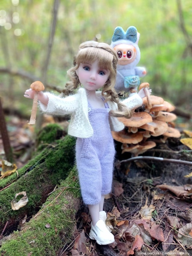 Дела осенние — Куклы Ruby Red (Руби Ред) Fashion Friends: Siblies