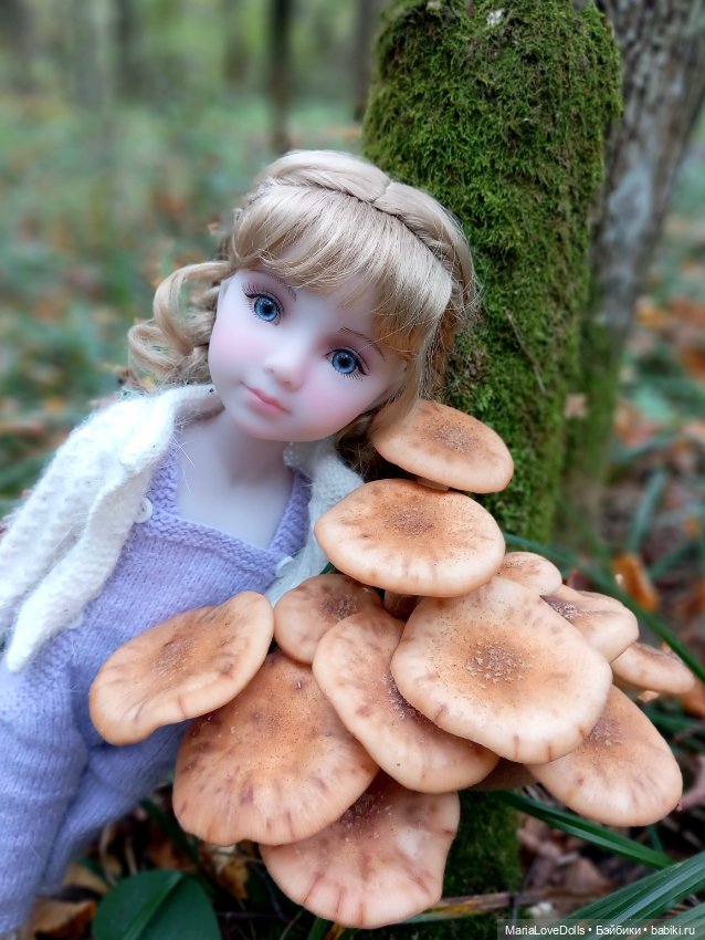 Дела осенние — Куклы Ruby Red (Руби Ред) Fashion Friends: Siblies