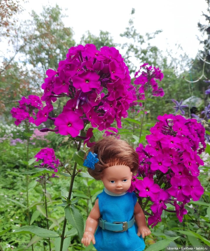 И вновь на те же грабли...🤗