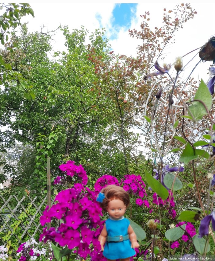 И вновь на те же грабли...🤗