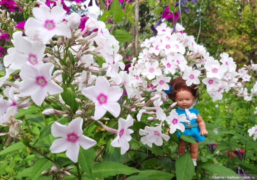 И вновь на те же грабли...🤗