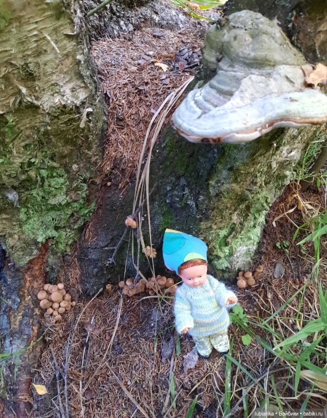 И вновь на те же грабли...🤗