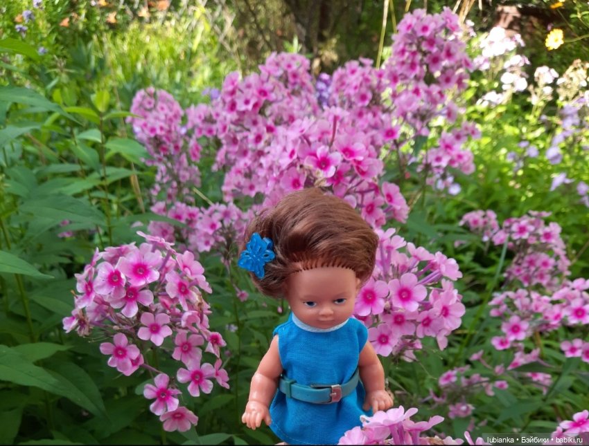 И вновь на те же грабли...🤗