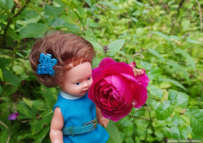 И вновь на те же грабли...🤗