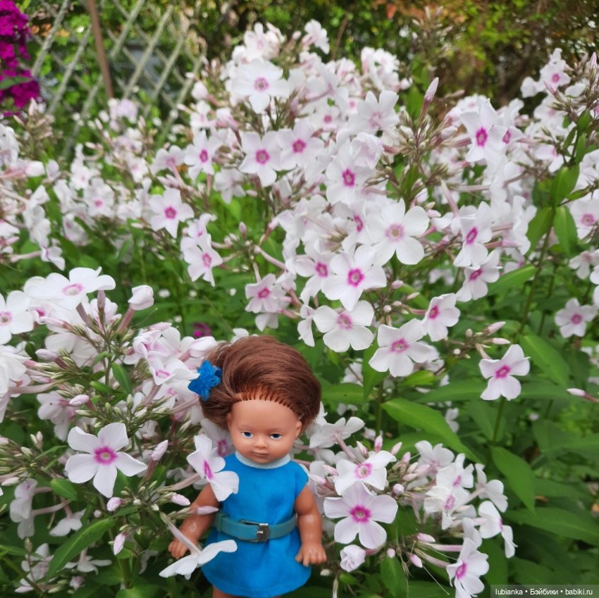 И вновь на те же грабли...🤗