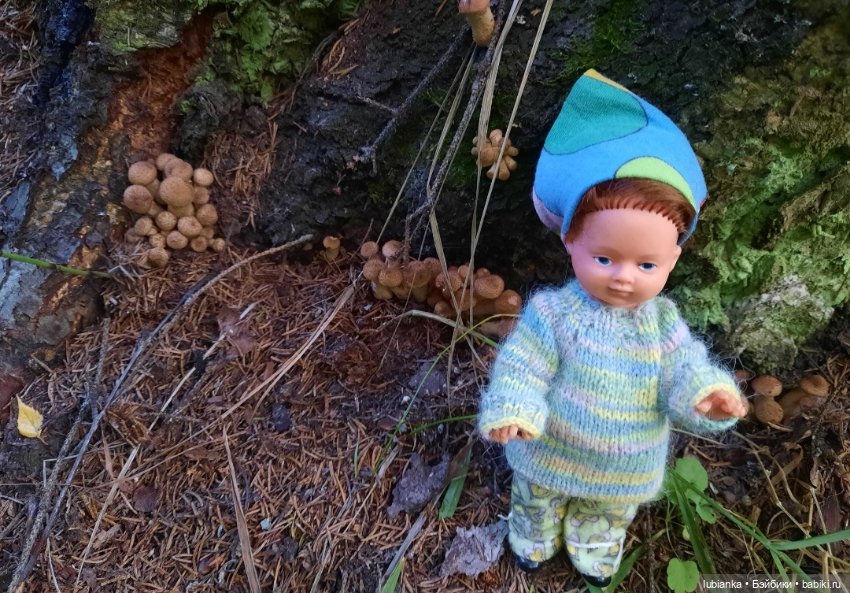 И вновь на те же грабли...🤗