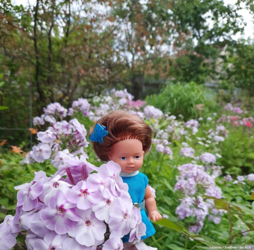 И вновь на те же грабли...🤗