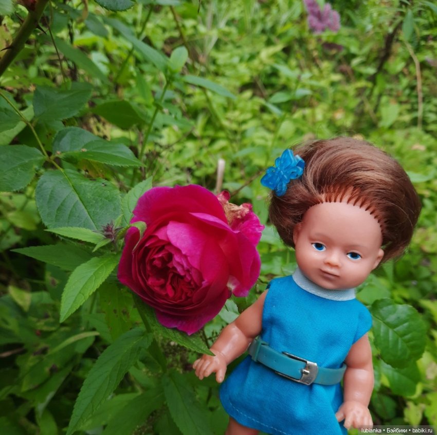 И вновь на те же грабли...🤗