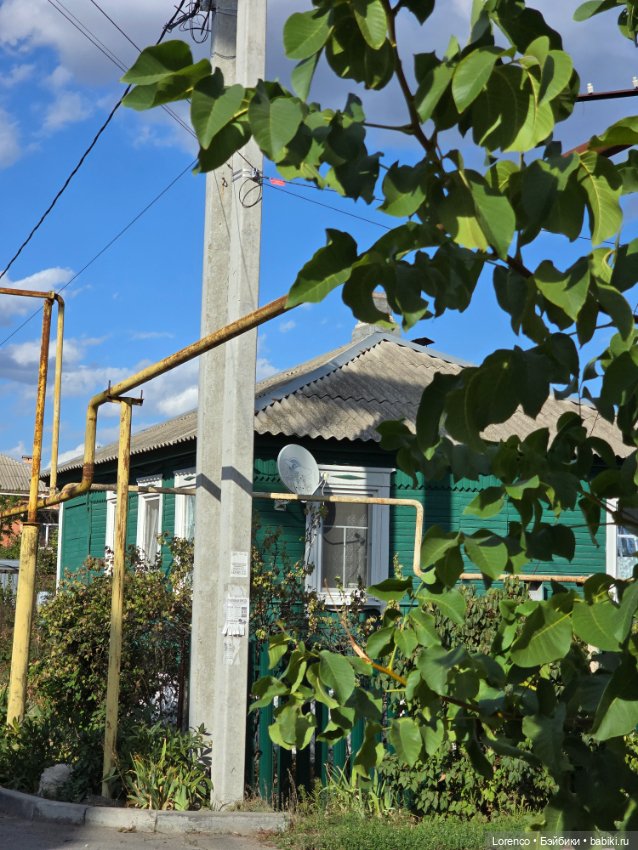 Волшебное место — Игровые куклы разных производителей (Разное): редкие бренды