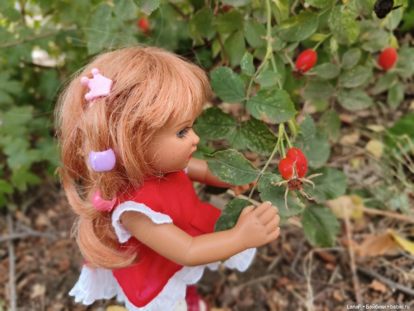 Как Золушка карету выбирала. (Куклы Gabrielle Muller)