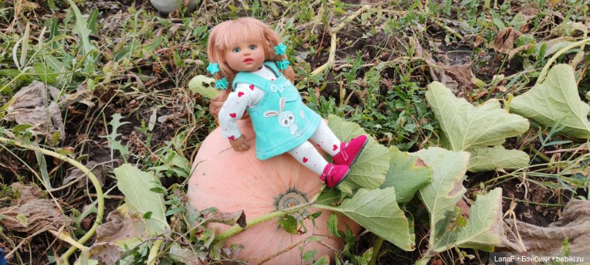 Как Золушка карету выбирала. (Куклы Gabrielle Muller) (фото 3)