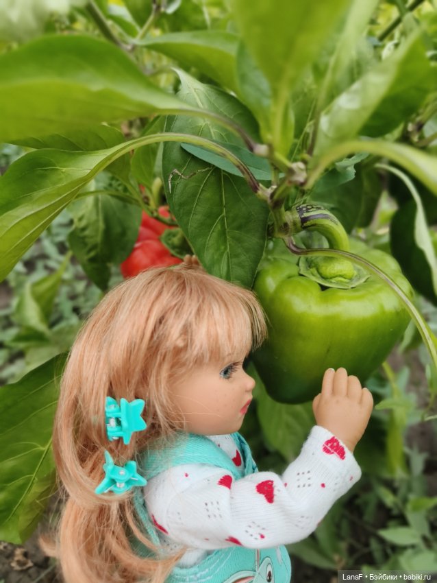 Как Золушка карету выбирала. (Куклы Gabrielle Muller) (фото 5)