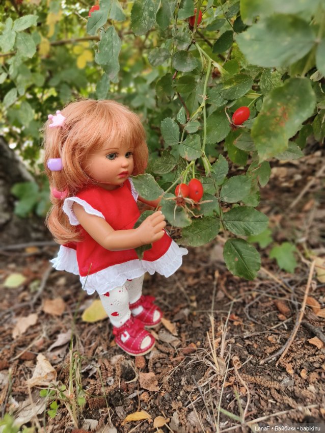 Как Золушка карету выбирала. (Куклы Gabrielle Muller)