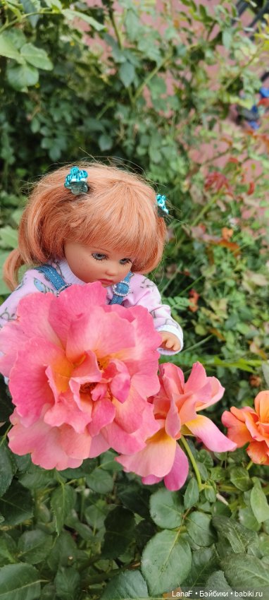 Как Золушка карету выбирала. (Куклы Gabrielle Muller)