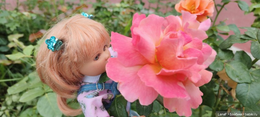 Как Золушка карету выбирала. (Куклы Gabrielle Muller)