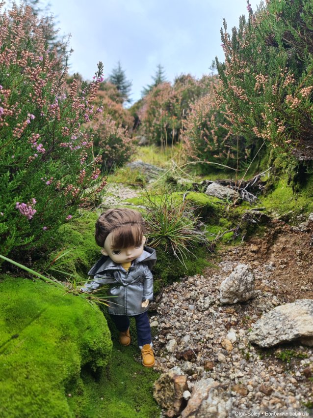 Кто с нами — Куклы Xiaomi Monst (Сяоми) и Pipitom: шарнирные