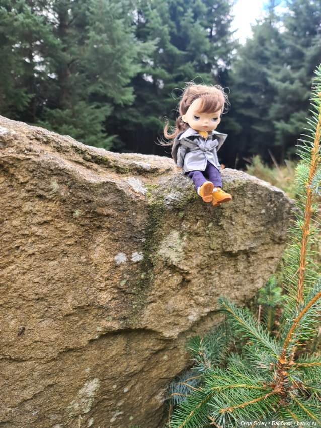 Кто с нами — Куклы Xiaomi Monst (Сяоми) и Pipitom: шарнирные (фото 7)