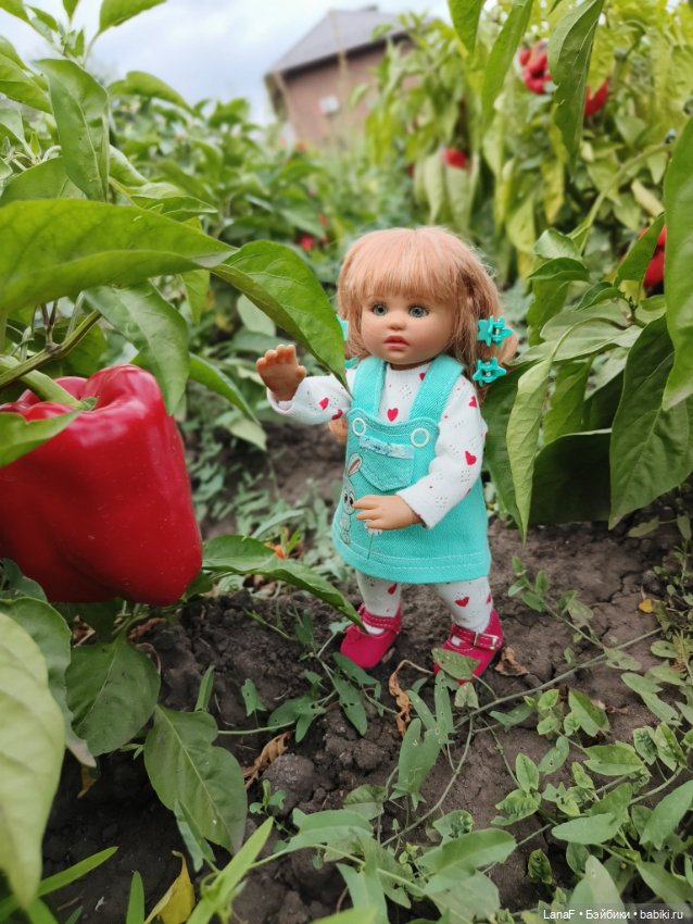 Как Золушка карету выбирала. (Куклы Gabrielle Muller)