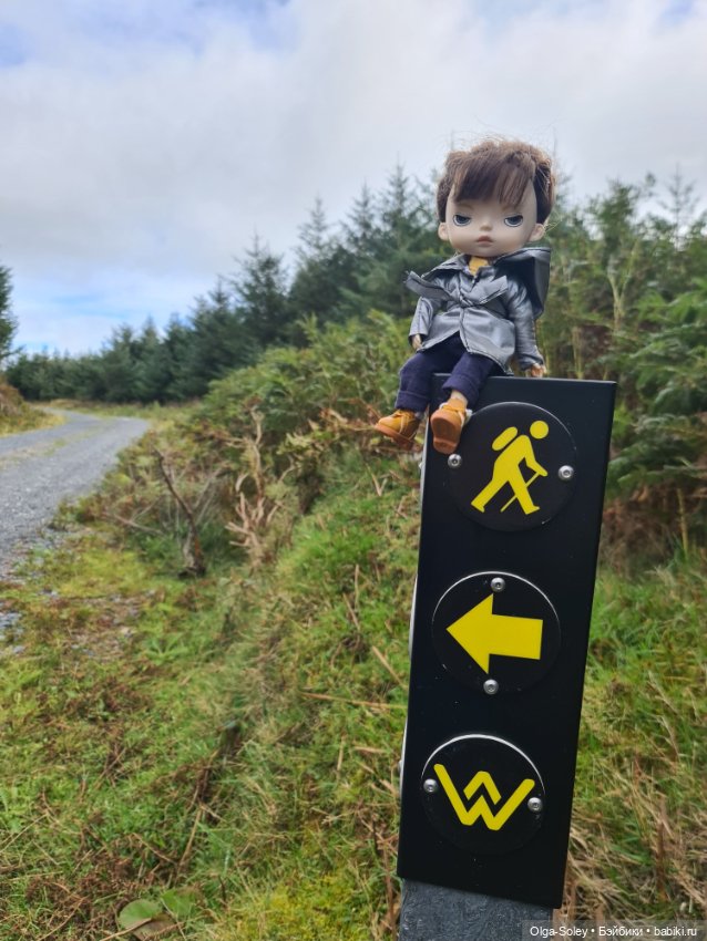 Кто с нами — Куклы Xiaomi Monst (Сяоми) и Pipitom: шарнирные (фото 2)