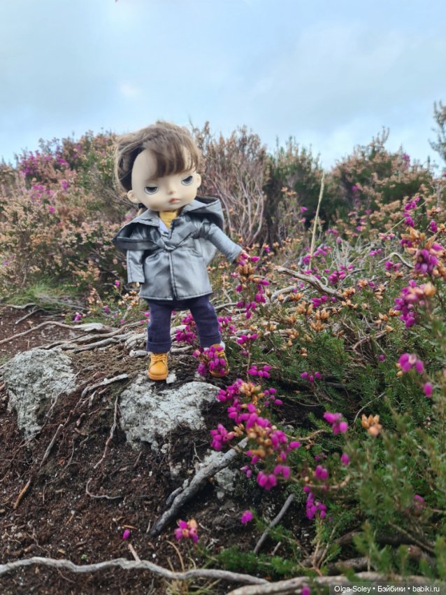 Кто с нами — Куклы Xiaomi Monst (Сяоми) и Pipitom: шарнирные