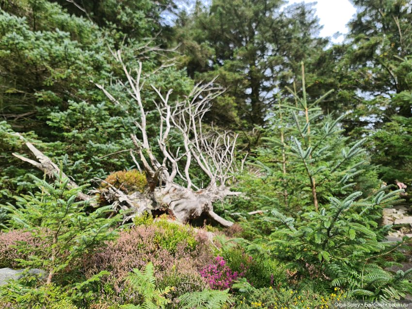 Кто с нами — Куклы Xiaomi Monst (Сяоми) и Pipitom: шарнирные