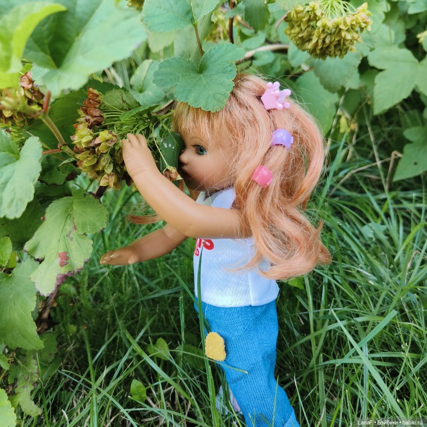 Как Золушка карету выбирала. (Куклы Gabrielle Muller)