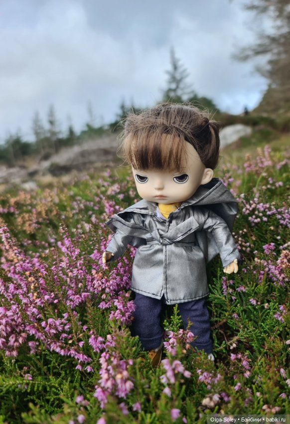 Кто с нами — Куклы Xiaomi Monst (Сяоми) и Pipitom: шарнирные (фото 9)