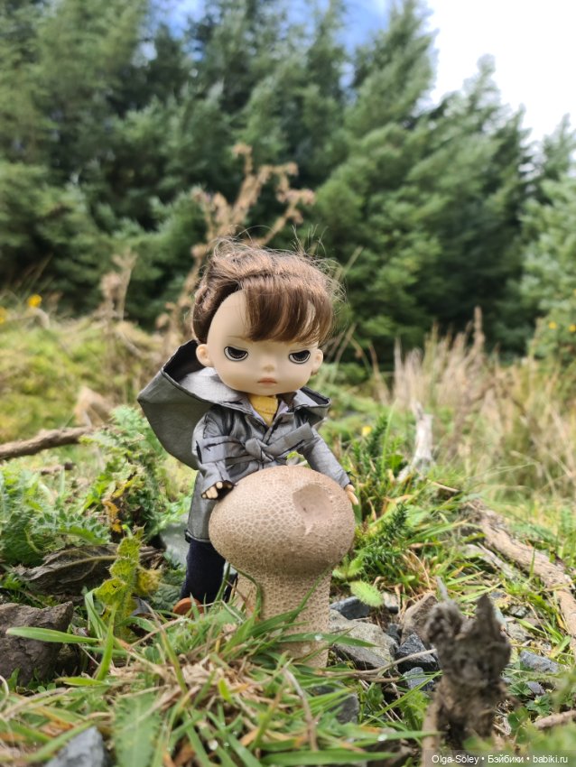 Кто с нами — Куклы Xiaomi Monst (Сяоми) и Pipitom: шарнирные (фото 4)