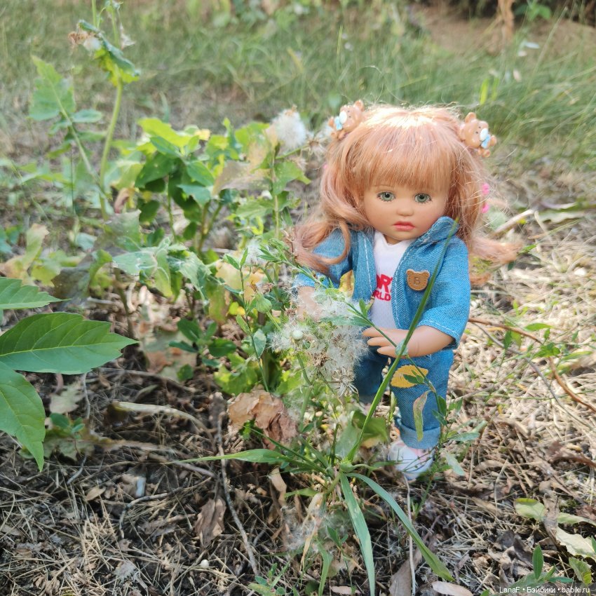 Как Золушка карету выбирала. (Куклы Gabrielle Muller)