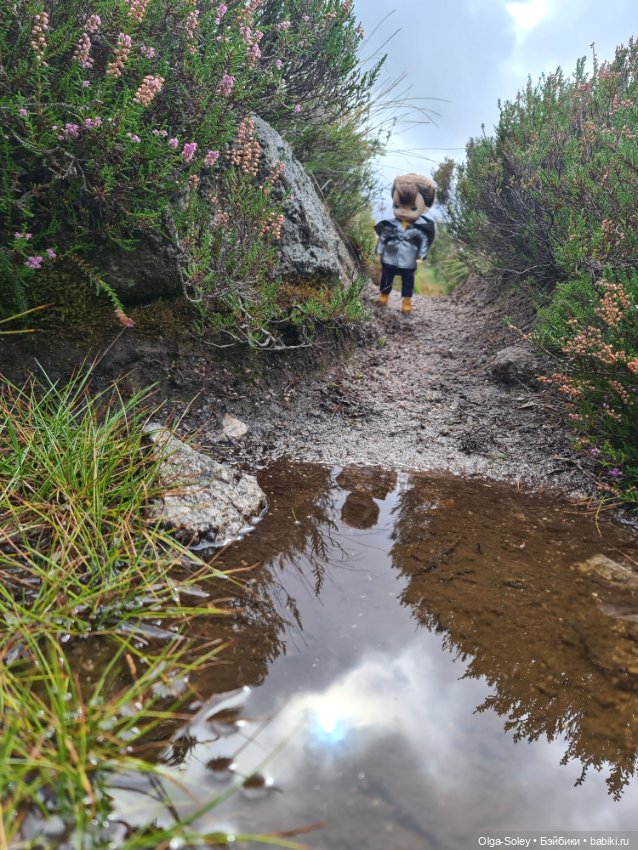 Кто с нами — Куклы Xiaomi Monst (Сяоми) и Pipitom: шарнирные (фото 10)