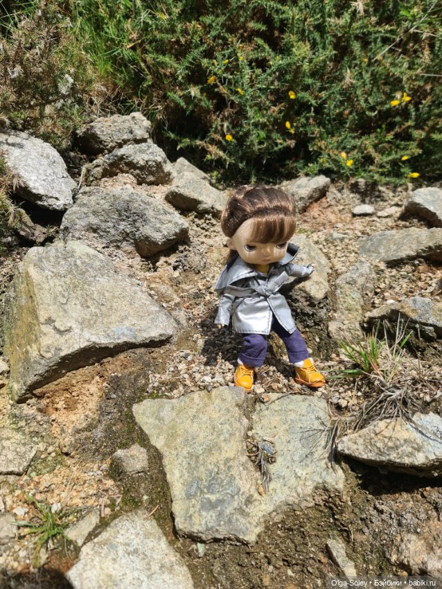 Кто с нами — Куклы Xiaomi Monst (Сяоми) и Pipitom: шарнирные (фото 8)