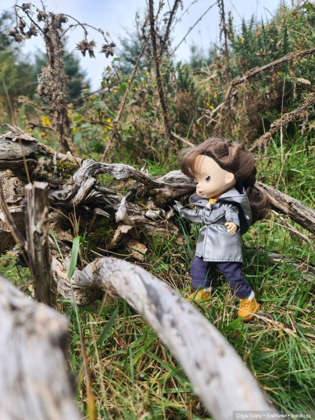 Кто с нами — Куклы Xiaomi Monst (Сяоми) и Pipitom: шарнирные (фото 3)