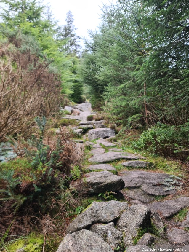 Кто с нами — Куклы Xiaomi Monst (Сяоми) и Pipitom: шарнирные