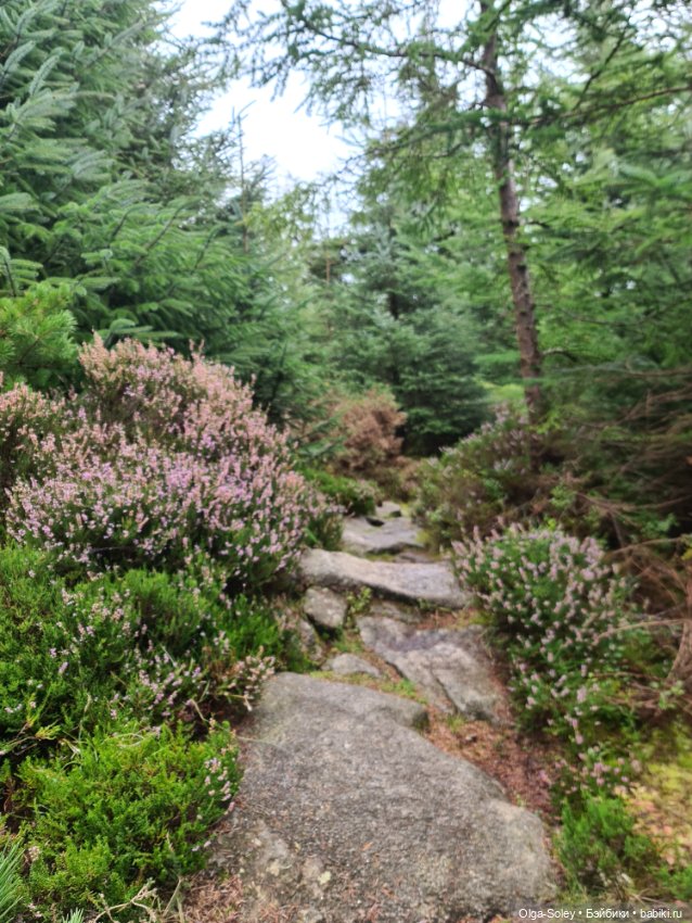 Кто с нами — Куклы Xiaomi Monst (Сяоми) и Pipitom: шарнирные