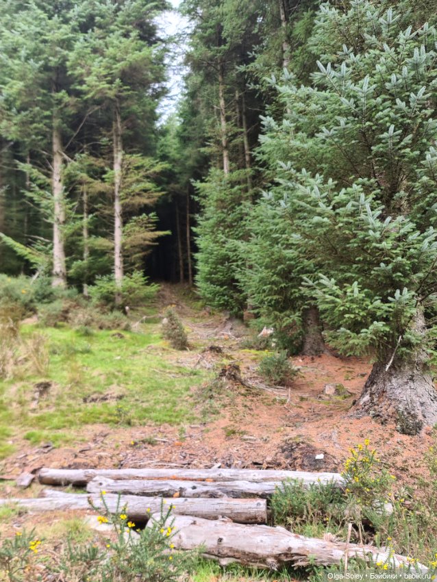 Кто с нами — Куклы Xiaomi Monst (Сяоми) и Pipitom: шарнирные (фото 5)