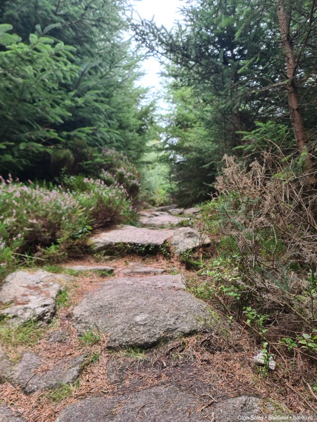 Кто с нами — Куклы Xiaomi Monst (Сяоми) и Pipitom: шарнирные