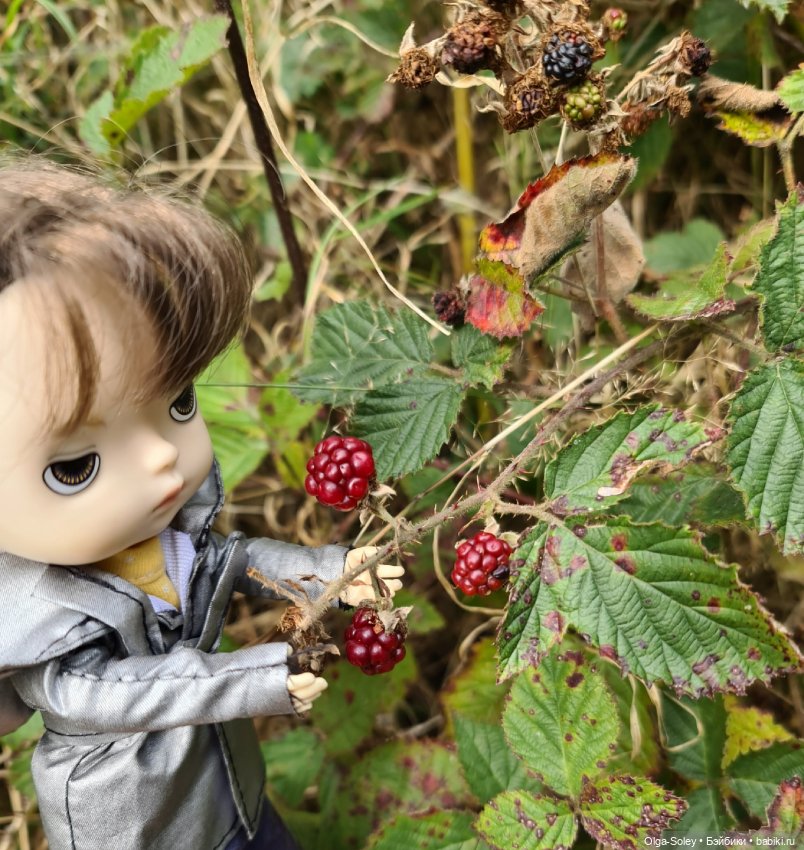 Кто с нами — Куклы Xiaomi Monst (Сяоми) и Pipitom: шарнирные