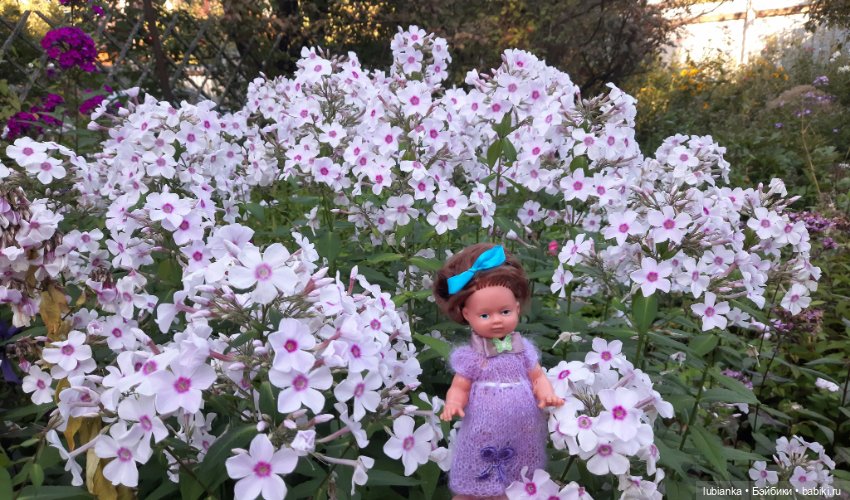 И опять Элечка на прогулке и с цветами🥰💜🌸🌼🌺