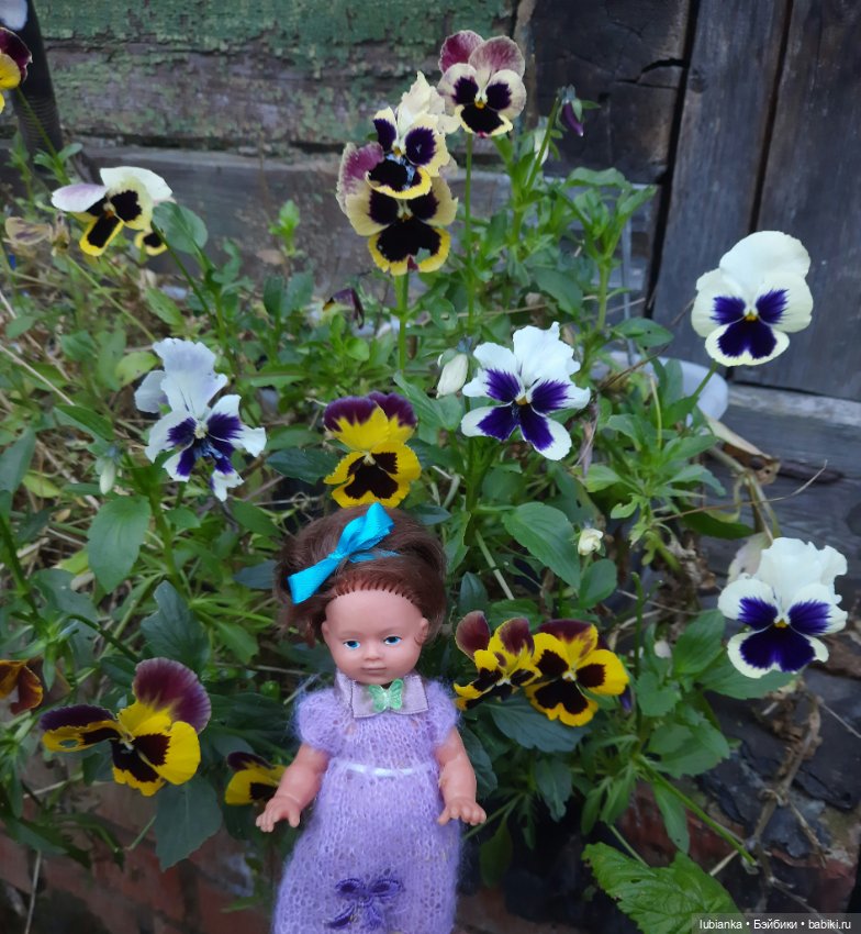 И опять Элечка на прогулке и с цветами🥰💜🌸🌼🌺 (фото 9)